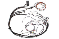 Haltech Elite 1000 Mazda 13B S4/5 CAS with Flying Lead Ignition Terminated Harness - HT-140875